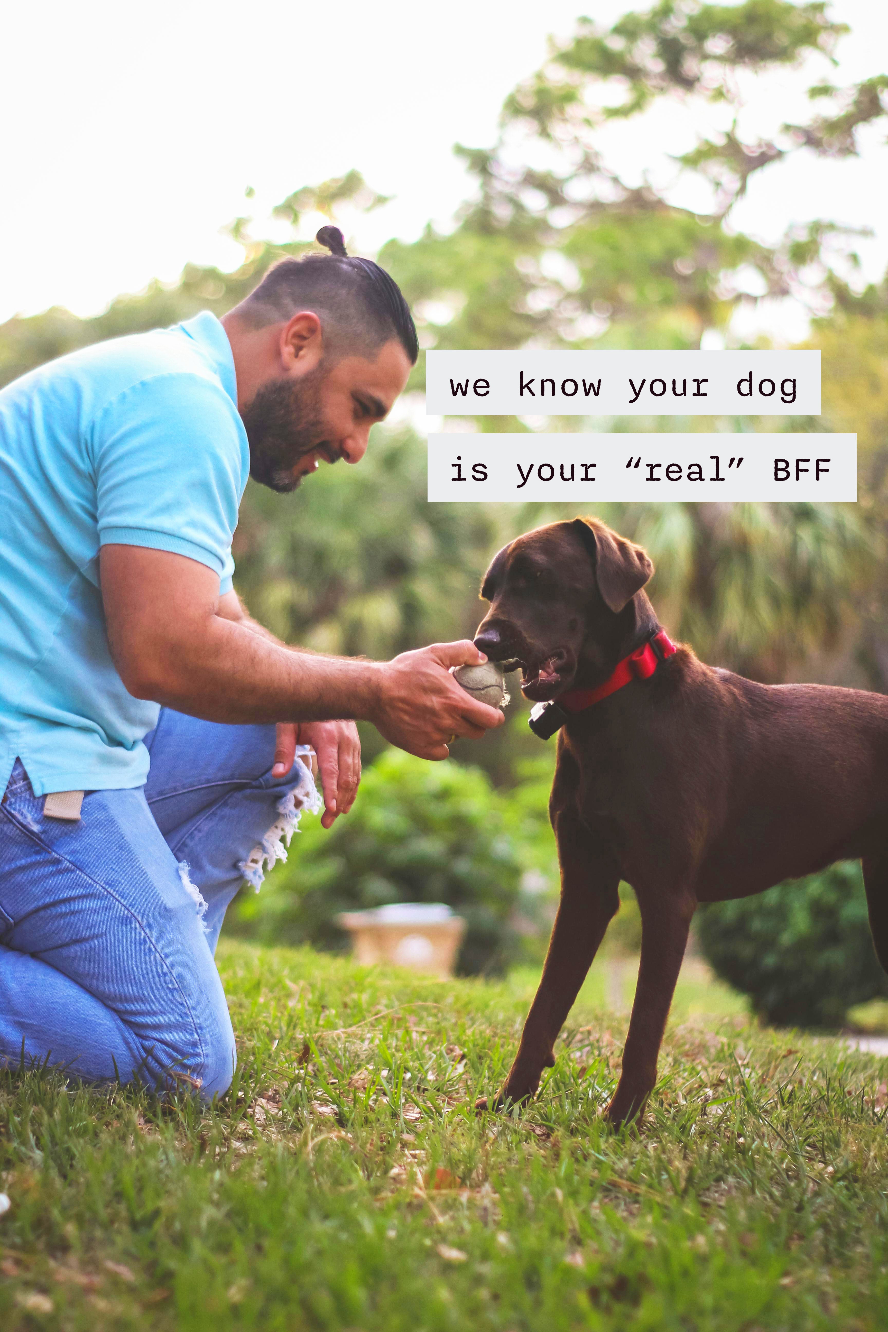 we know your dog is your real bff, man playing fetch with his dog